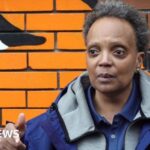 Chase sui wonders ethnicity