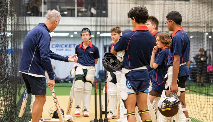 Cricket